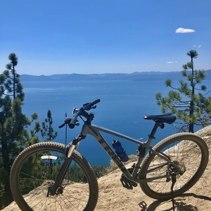 2020 Trek Marlin Silver, gray or bare metal