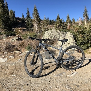 2020 Trek Marlin Silver, gray or bare metal