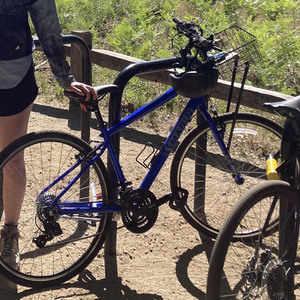 2020 Marin Bikes Larkspur CS1 Blue