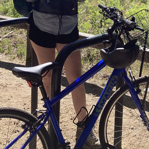 2020 Marin Bikes Larkspur CS1 Blue