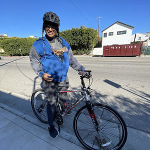 Cannondale Silver, gray or bare metal