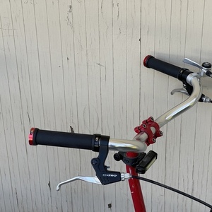 2016 Bike Friday Pocket Companion Red