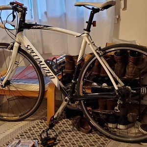 2009 Specialized Allez Elite Compact Double White
