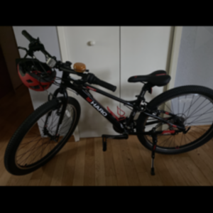 2020 Haro FLIGHTLINE ONE RIGID XS/13" Black