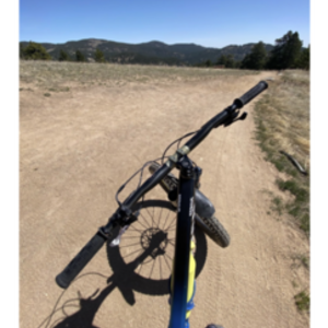 2018 Canyon bicycles CF 9.0 27.5 Wheels Blue