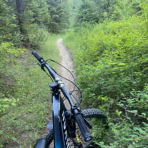 2018 Canyon bicycles CF 9.0 27.5 Wheels Blue