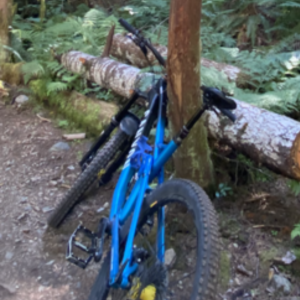 2018 Canyon bicycles CF 9.0 27.5 Wheels Blue