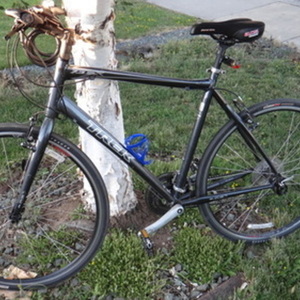 Trek 7.3 FX Silver or Gray