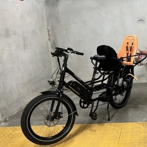 2022 Rad Power Bikes Rad Wagon 4 cargo bike (rear storage) Black