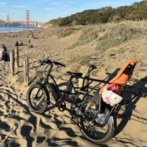 2022 Rad Power Bikes Rad Wagon 4 cargo bike (rear storage) Black