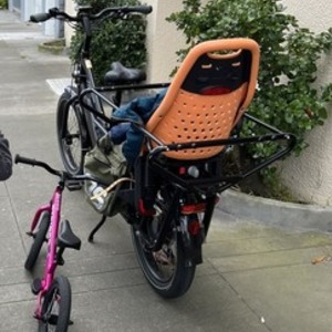 2022 Rad Power Bikes Rad Wagon 4 cargo bike (rear storage) Black