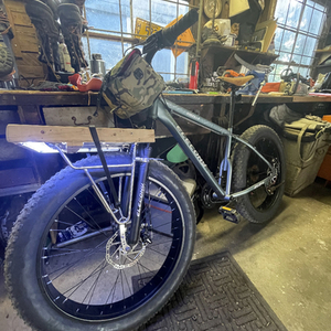 2018 Elecony Godzilla Silver, gray or bare metal