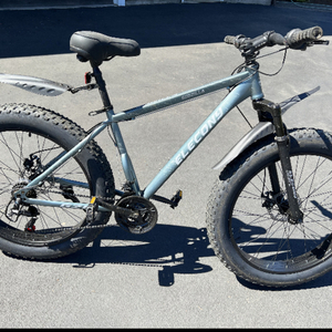 2018 Elecony Godzilla Silver, gray or bare metal