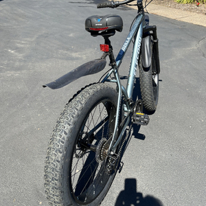 2018 Elecony Godzilla Silver, gray or bare metal