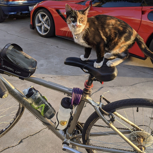 2013 Trek 7.1 FX Silver, gray or bare metal