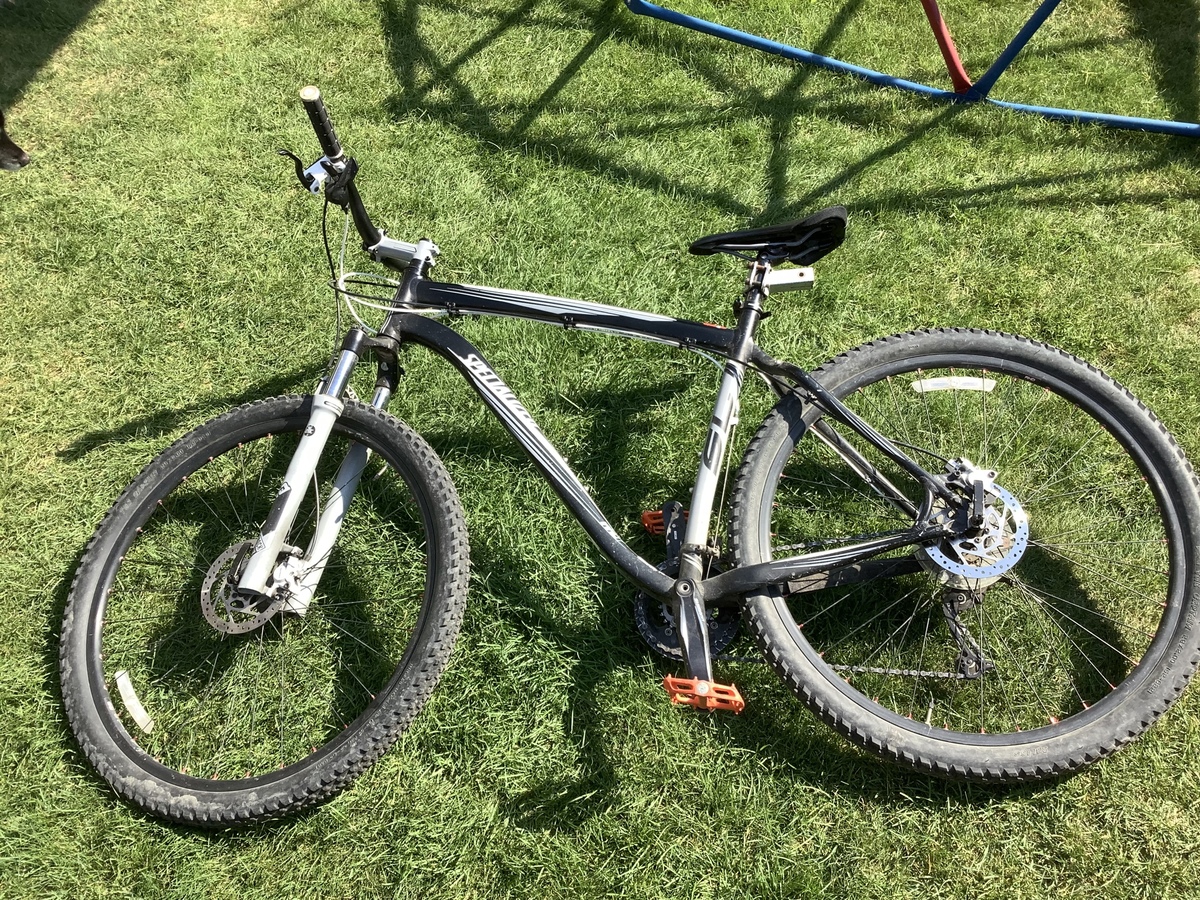 2010 Specialized Rockhopper Expert 29