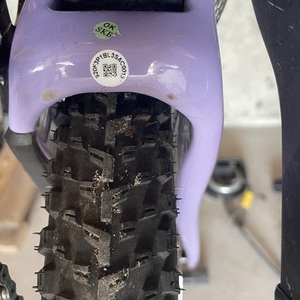 2021 Santa Cruz Blur Purple