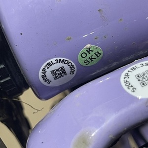 2021 Santa Cruz Blur Purple