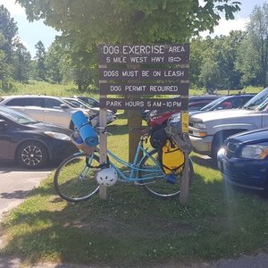 2016 Electra loft Blue