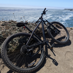Specialized Rockhopper Black