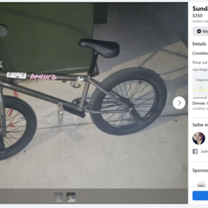 2022 Fiend BMX Type-B Silver, gray or bare metal