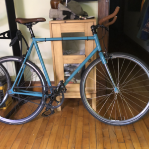 Custom Belt drive Teal and Brown