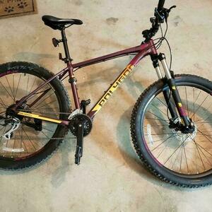 2021 Polygon Premier 4 Purple