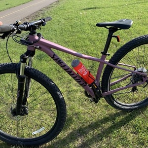 2020 Specialized Rockhopper 29 Purple and Black