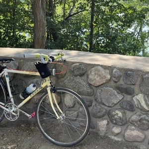 1983 Terry Despatch White and Yellow or Gold