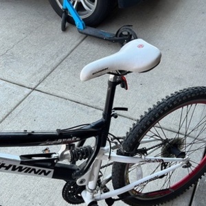 Schwinn White and Black