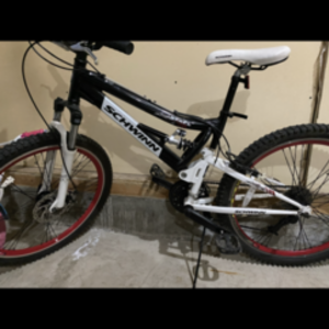 Schwinn White and Black