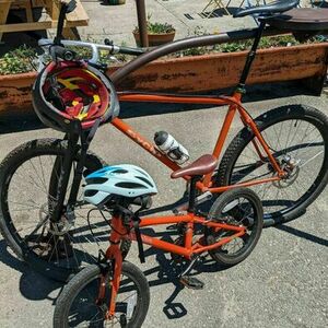 SyCip Orange