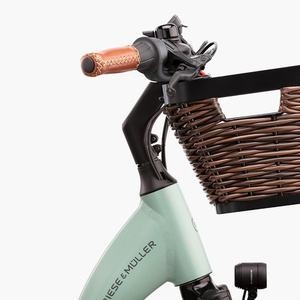 2021 Riese und Müller Swing Vario Intuvia, 51cm, color salv... Green