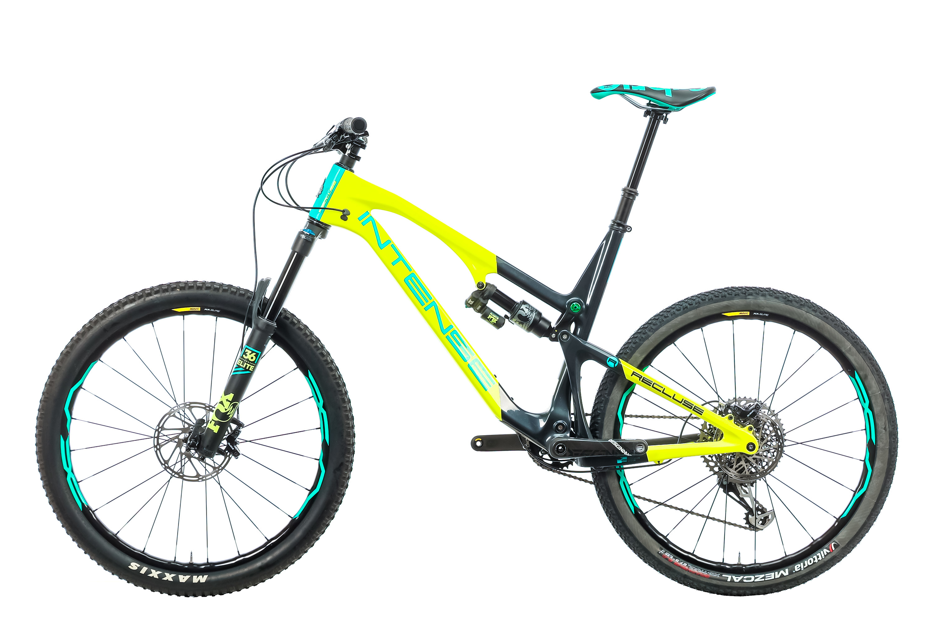 2019 intense recluse