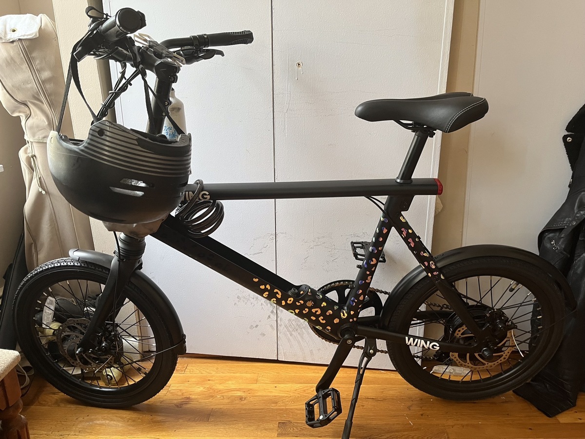 2022 Wing Bikes Freedom S2