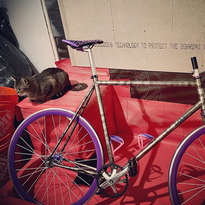 2020 MASH SF Steel Frame Set Silver Rainbow Smoke Silver, gray or bare metal