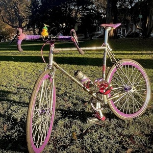 2020 MASH SF Steel Frame Set Silver Rainbow Smoke Silver, gray or bare metal