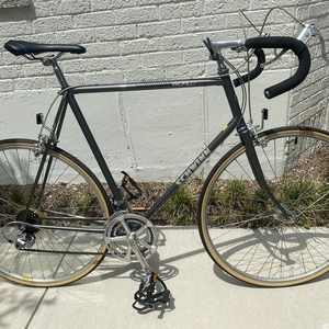 1985 Schwinn World Silver, gray or bare metal