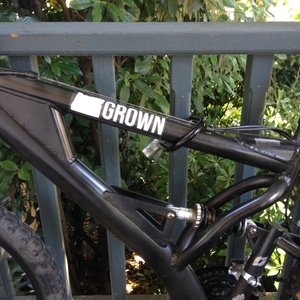 2015 Other Thick men's mountain bike Black