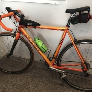2007 Trek 1000 Orange