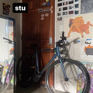 2022 Giant escape 3 L Blue