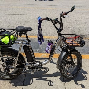 2021 Rad Power Bikes Radrunner Plus Silver, gray or bare metal