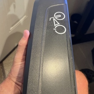 2022 Rad Power Bikes RadRunner Plus Electric Utility Bike Silver, gray or bare metal