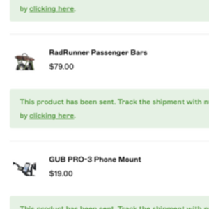 2022 Rad Power Bikes RadRunner Plus Electric Utility Bike Silver, gray or bare metal