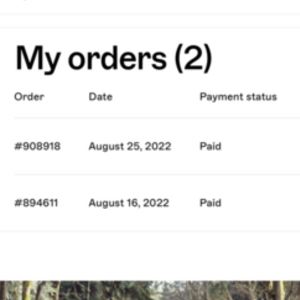 2022 Rad Power Bikes RadRunner Plus Electric Utility Bike Silver, gray or bare metal