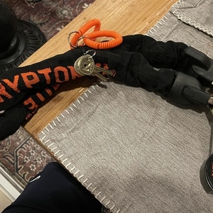 2022 Rad Power Bikes RadRunner Plus Electric Utility Bike Silver, gray or bare metal