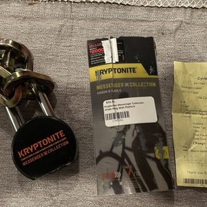 2022 Rad Power Bikes RadRunner Plus Electric Utility Bike Silver, gray or bare metal