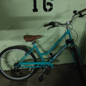 2018 Supercycle Pathway Teal