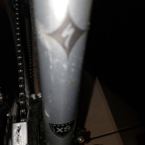 2017 Specialized Ariel Silver, gray or bare metal and White