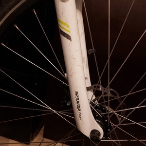 2017 Specialized Ariel Silver, gray or bare metal and White